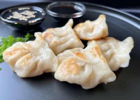 GYOZAS VEGANA - 30 UNIDADES